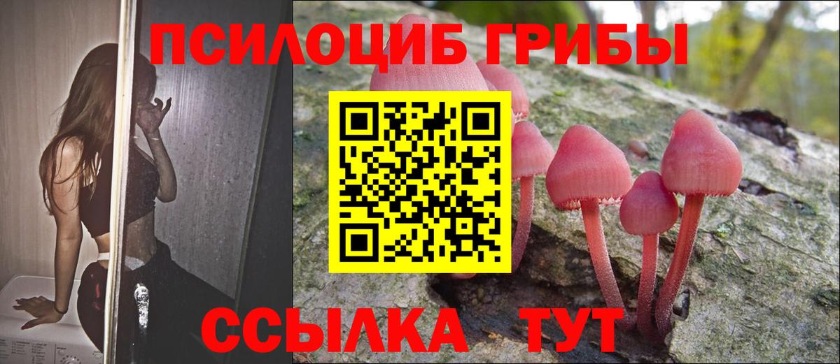 Псилоцибиновые грибы Psilocybine cubensis Пушкино