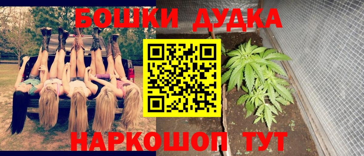 Каннабис планчик  Вход с VPN  Марихуана OG Kush  Пушкино  МАРИХУАНА THC 21%  Канабис VHQ 